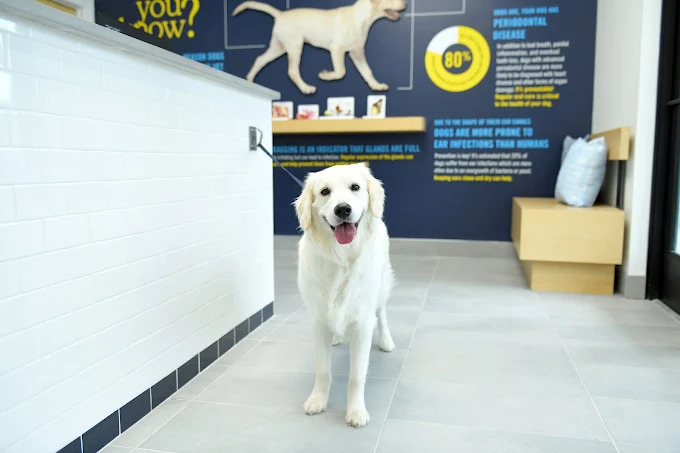 Scenthound Pleasant Grove Opens September 17 to Offering Pleasant Grove Residents Top Tier Dog Grooming Services