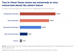 Texas Voters Confident in State’s Economic Future as Employment Growth Varies Across the State