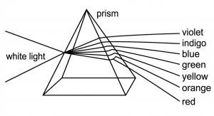 The Love Spectrum by Mark Robinson Pic 2