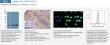 Decoding the "Sugar Code": GAL1 Antibody-Powered Solutions for Immunity and Oncology Research