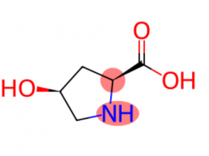 Molecular structure of hydroxyproline (Hyp)