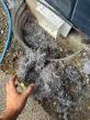 Before the First Fire: ServicePros on Chimney and Vent Prep in the Northwest