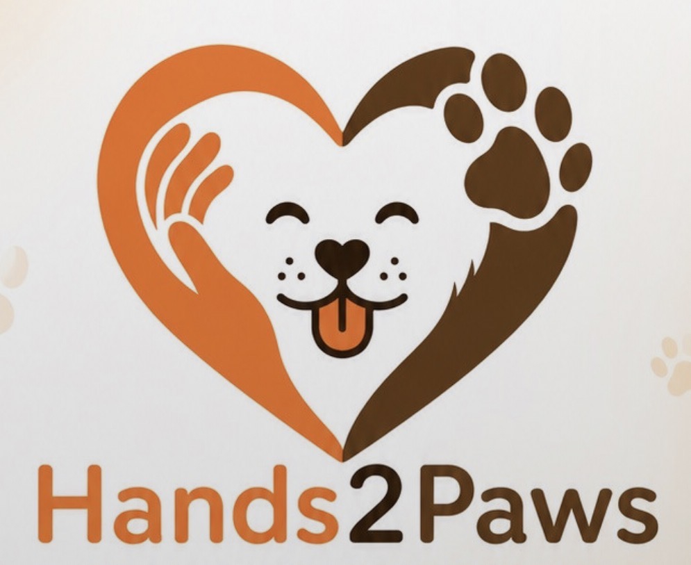 Hands2Paws App Update Expands Breed Matching and Responsible Dog Search Tools
