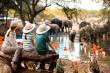 Go2Africa Reveals Its 2027 Annual Guide to the Best Family Safaris