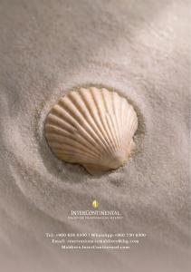 12 Pearls of The Ocean