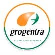 Five Reputable Canned Fruits & Vegetables Suppliers in China 2026: Advancing Food Processing Technology