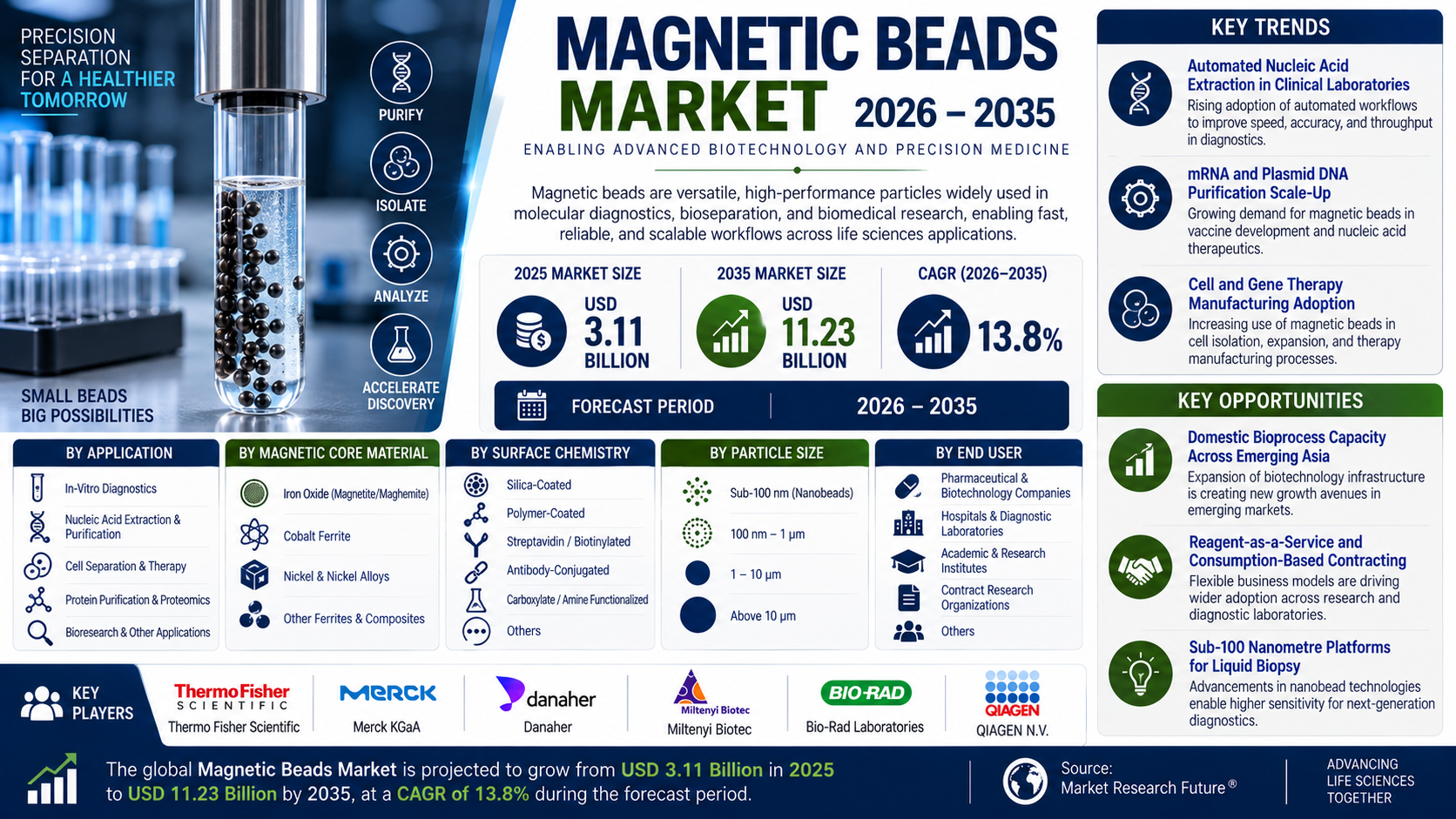 Magnetic Beads Market to Reach USD 11.23 Billion by 2035 at 13.8% CAGR