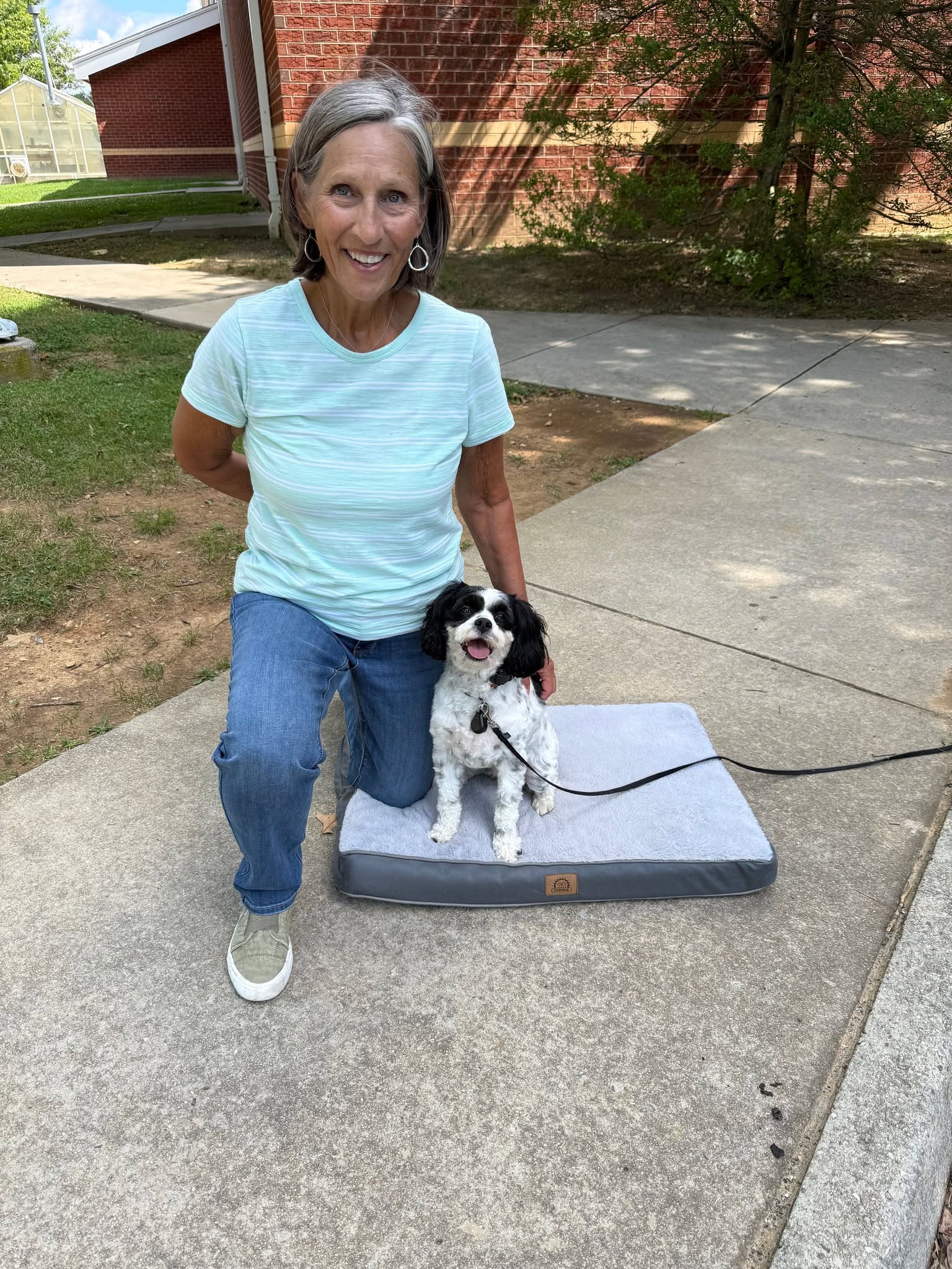 Off Leash K9 Training New River & Roanoke Valleys Highlights Aggression and Reactivity Training for Local Dog Owners