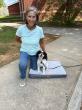 Off Leash K9 Training New River & Roanoke Valleys Highlights Aggression and Reactivity Training for Local Dog Owners