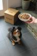 DASH Dog Food Raises Oversubscribed Seed Round to Make 'Table-Grade' the New Standard in Fresh-Frozen Dog Food