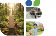Buyer’s Handbook: Finding a Certified Paper Void Fill Machine Provider in China for Eco-Conscious Brands | HJ Machinery