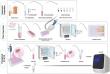 Efficacy of commercial disinfectants Virkon®S and Microchem Plus against poliovirus
