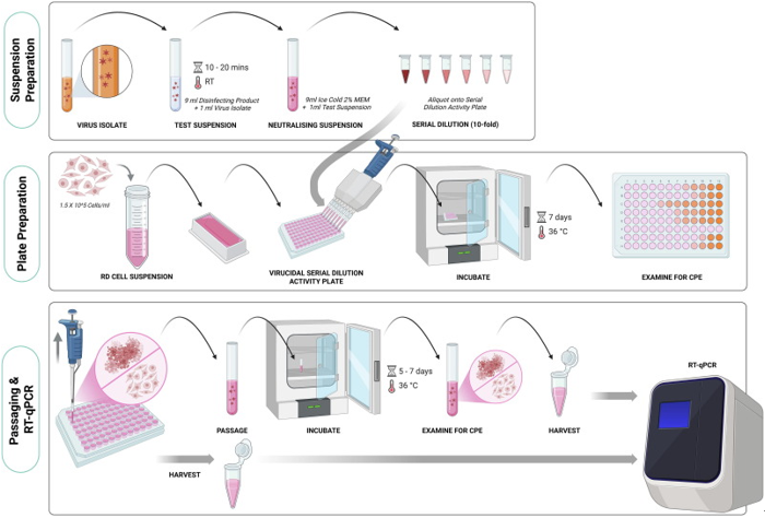 Efficacy of commercial disinfectants Virkon®S and Microchem Plus against poliovirus