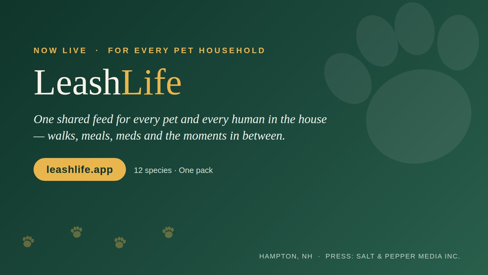 Leash Life Launches to Bring the Whole Household, and the Whole Pet Industry, Onto One Leash