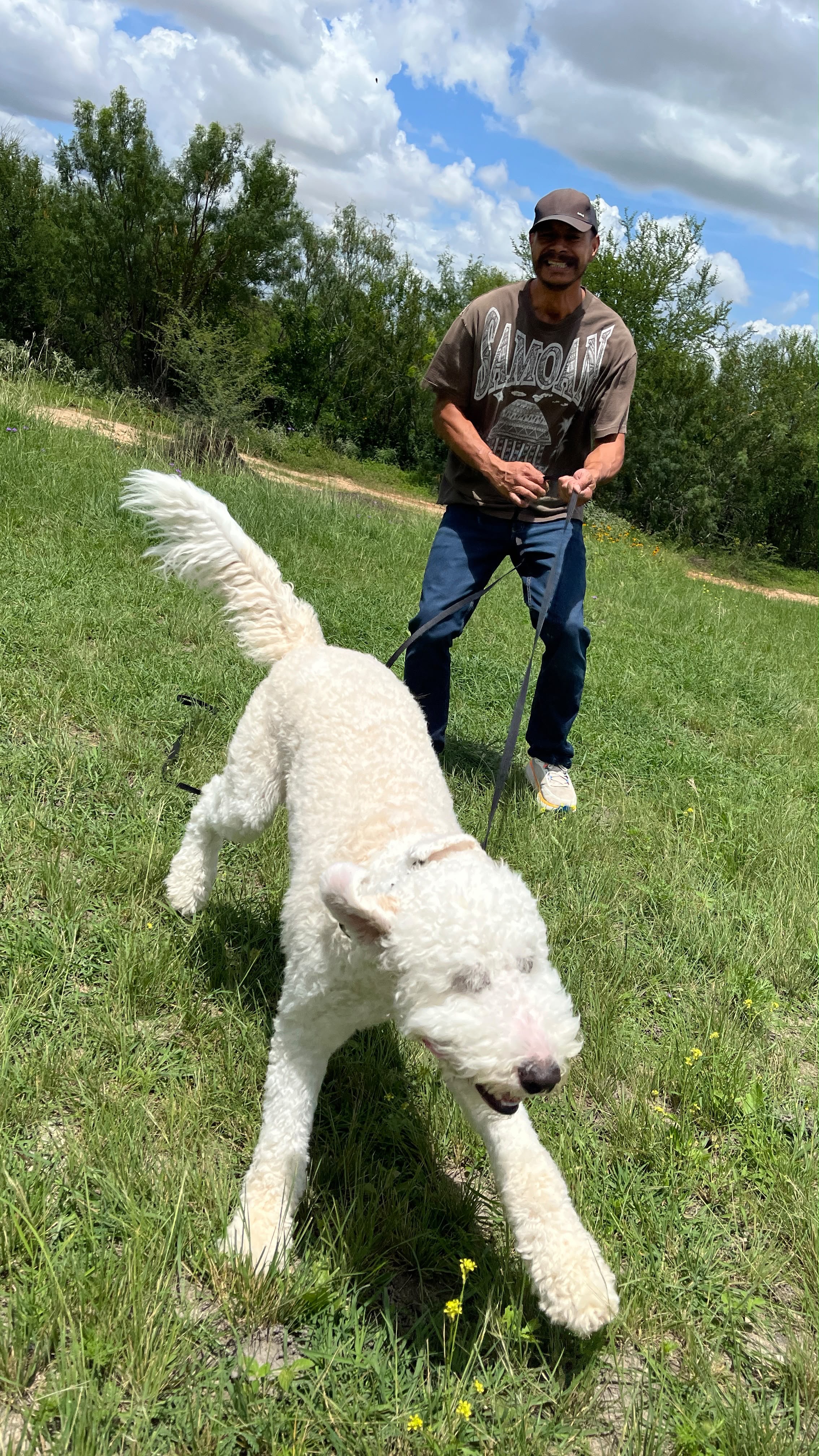Off Leash K9 Training San Antonio Highlights Behavior Modification Support for Aggressive and Reactive Dogs