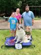 Off Leash K9 Training of Dayton Highlights Dog Aggression Training for Local Pet Owners
