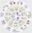 Marine carbohydrate therapeutics: from structural diversity to clinical translation