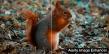 Aiarty Image Enhancer V3.14 Brings Smoother Lightroom Workflows and Easier EXIF Access