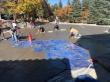 Colorado Field Services Broadens Fall Concrete and Countertop Work