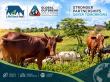 Global Outbreak Solutions & LifeStock International Partner to Strengthen Animal Disease Preparedness Worldwide