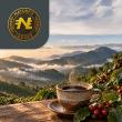 Nature’s Ledger and Cascadas Perdidas Advance Tokenization Strategy for Luxury Coffee and Natural Assets in Panama