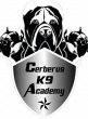 Cerberus K9 Academy Honoured with 2026 Quality Business Award for Best Dog Trainer in the City of Monash, VIC
