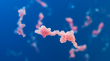 Automating Peptide Metabolite Identification: Realizing Speed and Precision with TidesID Platform by WuXi AppTec DMPK