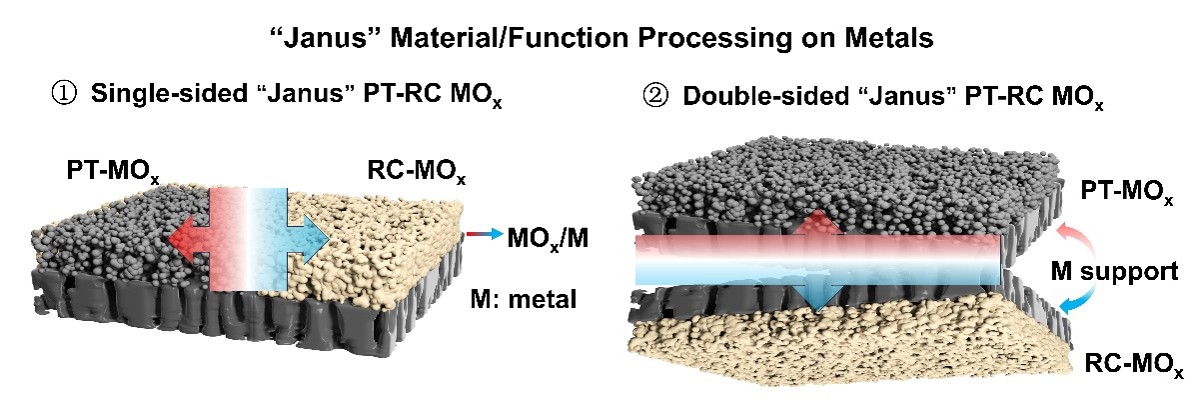 Femtosecond laser based “Janus-material/function” processing paradigm for photothermal and radiative cooling modulation