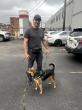 THE BED BUG PROS RECEIVE 2026-2027 NESDCA BED BUG DOG CERTIFICATION IN 8 MINUTES