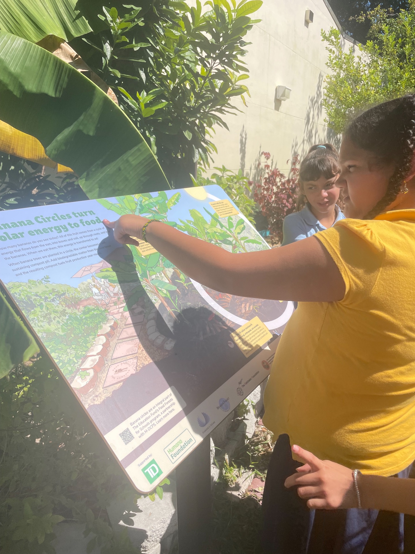 USDA Forest Service Grant Expands The Education Fund’s STEM and Tree Canopy Education in Miami-Dade Public Schools