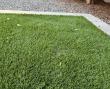 Brian Cooper Dill of TURF ZONE USA Addresses Rat and Gopher Damage Beneath Artificial Turf
