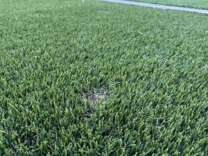 Brian Cooper Dill, founder of TURF ZONE USA, is helping homeowners address a common artificial turf concern: rats, gophers, and other burrowing pests digging beneath turf and damaging the prepared surface.