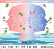 Janus-style catalyst turns seawater into two valuable chemicals at once
