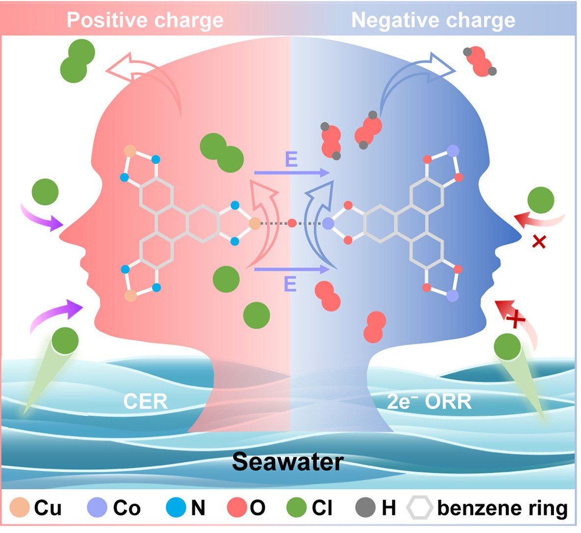 Janus-style catalyst turns seawater into two valuable chemicals at once