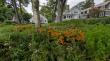 Pizzo Habitat Restoration Brings Decades of Award-Winning Ecological Expertise to Salem Wisconsin
