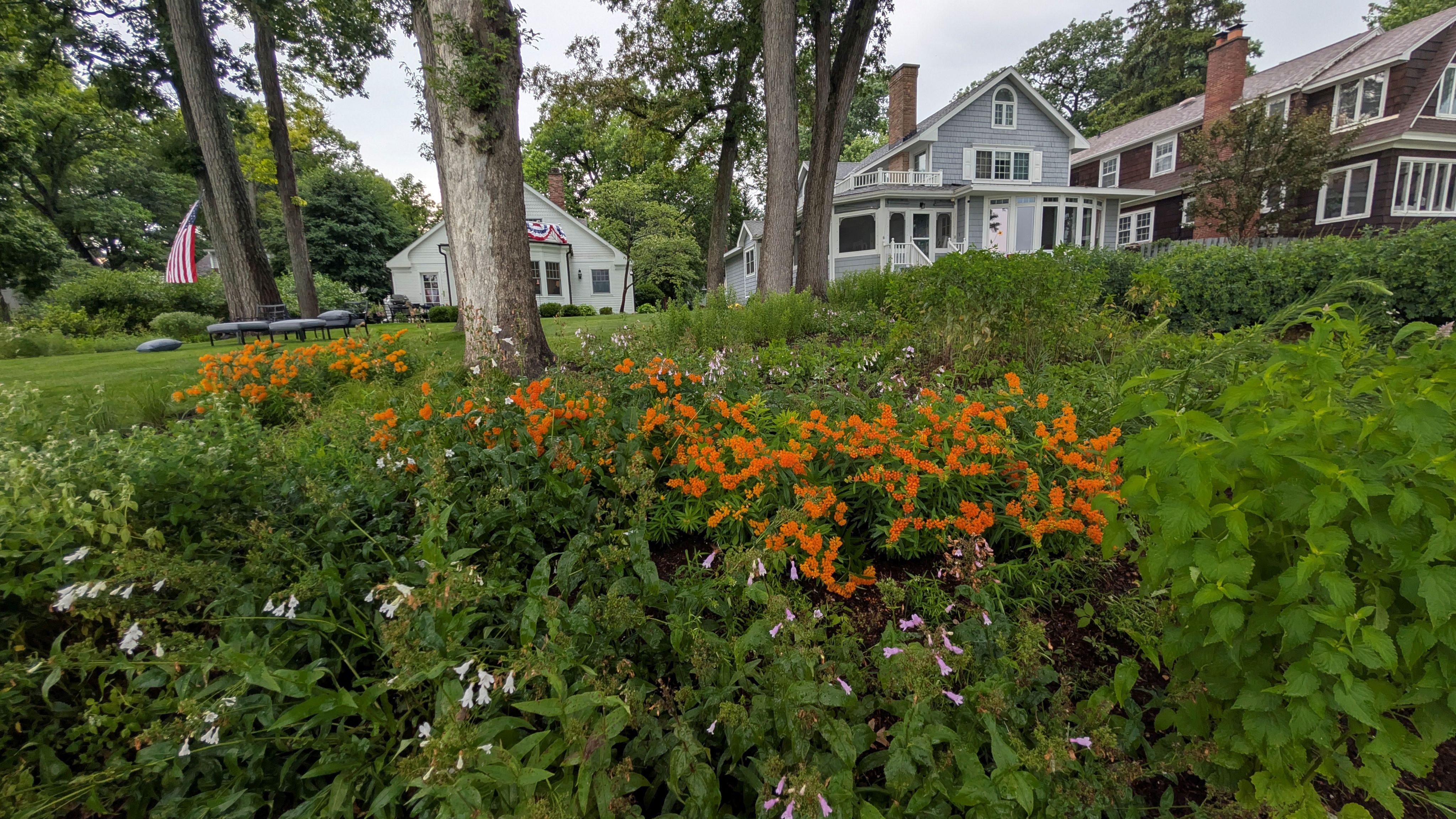 Pizzo Habitat Restoration Brings Decades of Award-Winning Ecological Expertise to Salem Wisconsin