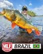 Amazonas, Brazil: A World-Class Sport Fishing Destination in the Heart of the Amazon Rainforest