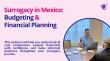 Miracle Surrogacy Webinar Attracts More Than 200 Registered Intended Parents