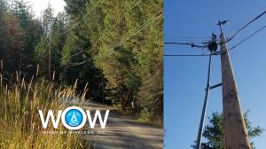 Pole Image 2