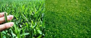 Brian Cooper Dill, founder of TURF ZONE USA, is encouraging homeowners, schools, businesses, and athletic facilities across the Western United States to evaluate artificial turf as communities prepare for recurring drought, hotter temperatures, and increa