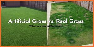Brian Cooper Dill: Traditional grass requires ongoing irrigation, mowing, fertilizing, weed control, and recovery after heavy use.