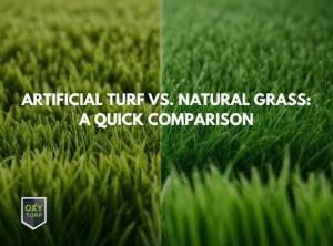 Brian Cooper Dill, CEO: California residents may qualify for turf-removal or yard-transformation rebates through their local water agencies.