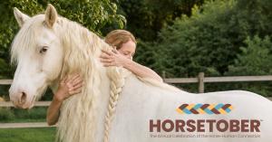 HORSETOBER Hero