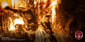 Photographer of the Year (Professional) - Sacred Fire Ritual by MEGUMI MURAKAMI