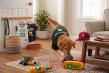 HardyPaw Launches Sports Fan Shop with Officially Licensed NCAA, NBA, NFL, MLB and NHL Team Gear for Dogs and Cats