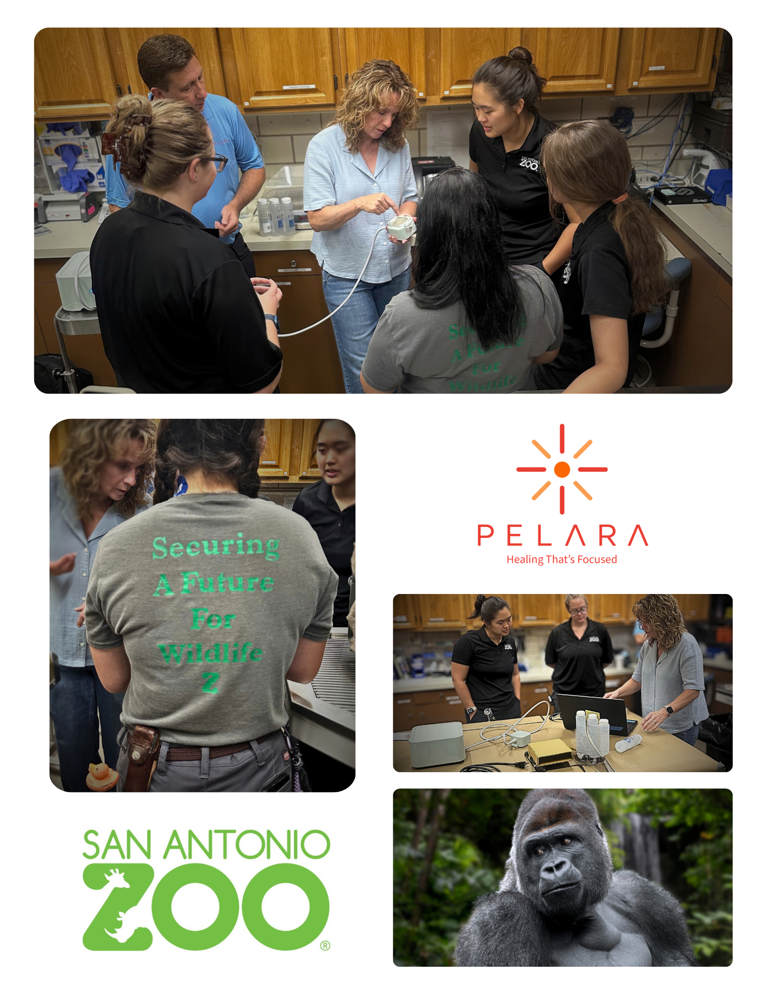 EMERGING TECH: Pelara Begins Collaboration with San Antonio Zoo to Explore Focused Ultrasound in Zoological Medicine