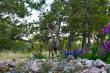 Why Deer Avoid Some Garden Plants: American Meadows Experts Explain 4 Foliage Traits That Can Reduce Browsing