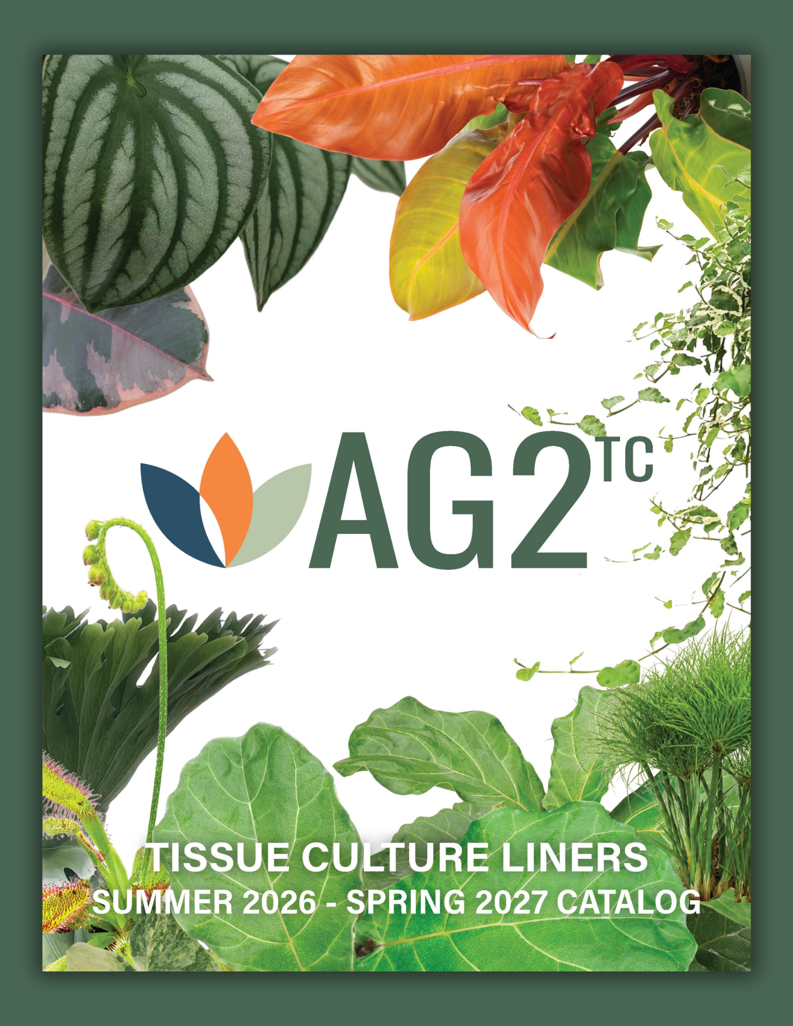 AG2 TC Expands Wholesale Tissue Culture Offerings for Nurseries Serving the Growing Retail Plant Market