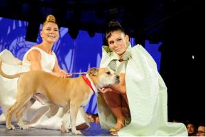 Catwalk Furbaby Runway (Photo credit: PMC / Paul Bruinooge)