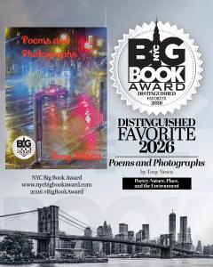 2025 NYC Big Book Award Distinguished Favorite